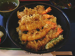 悵EV